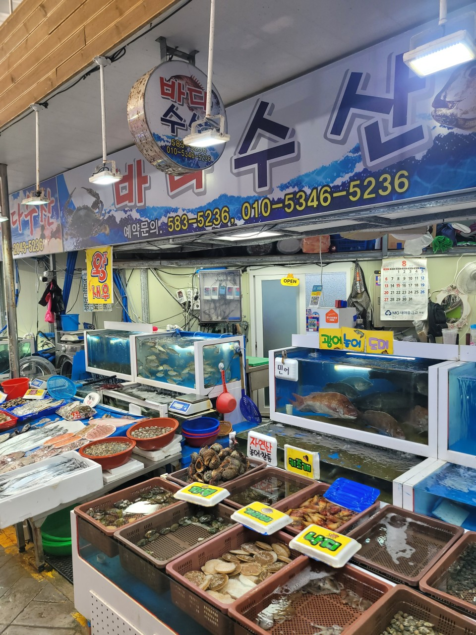 부안시장 돼지갈비 꽃게 갑오징어 구매