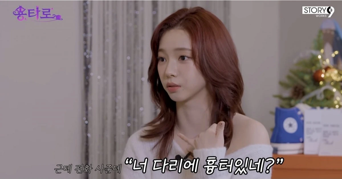 2025년 카리나 운세 타로카드