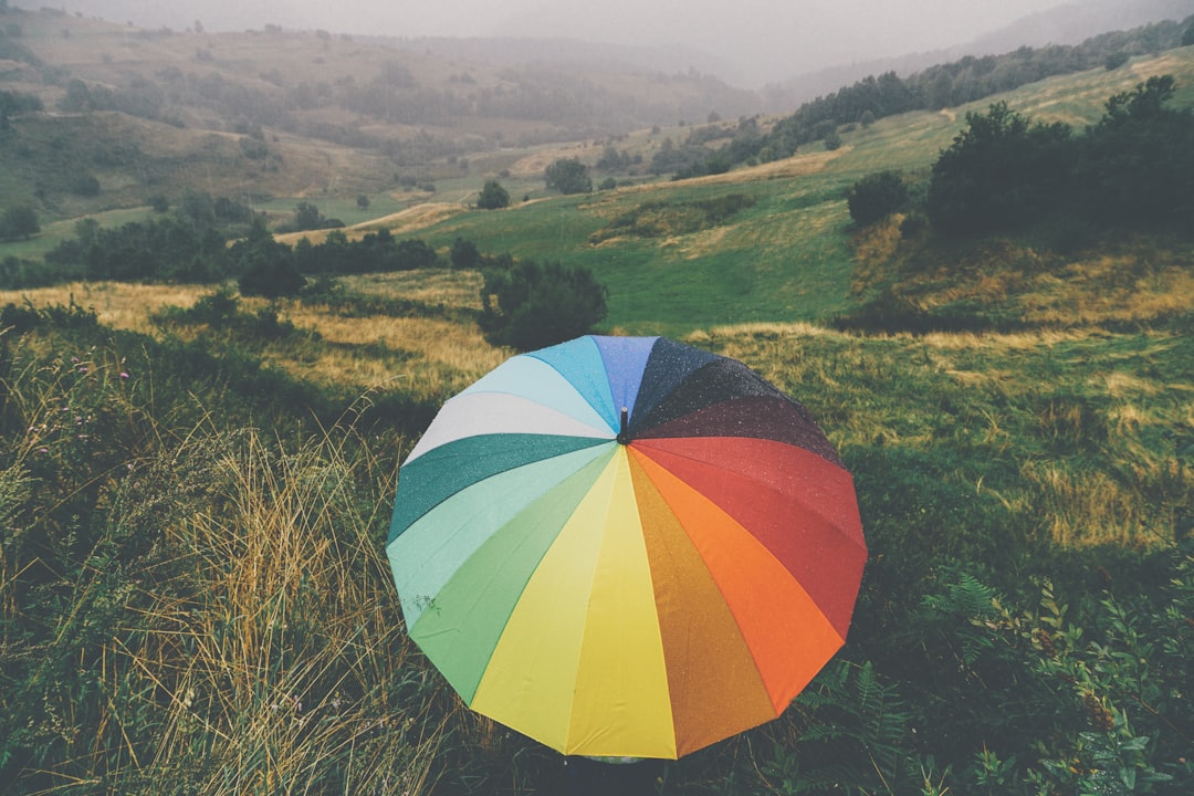 Umbrella