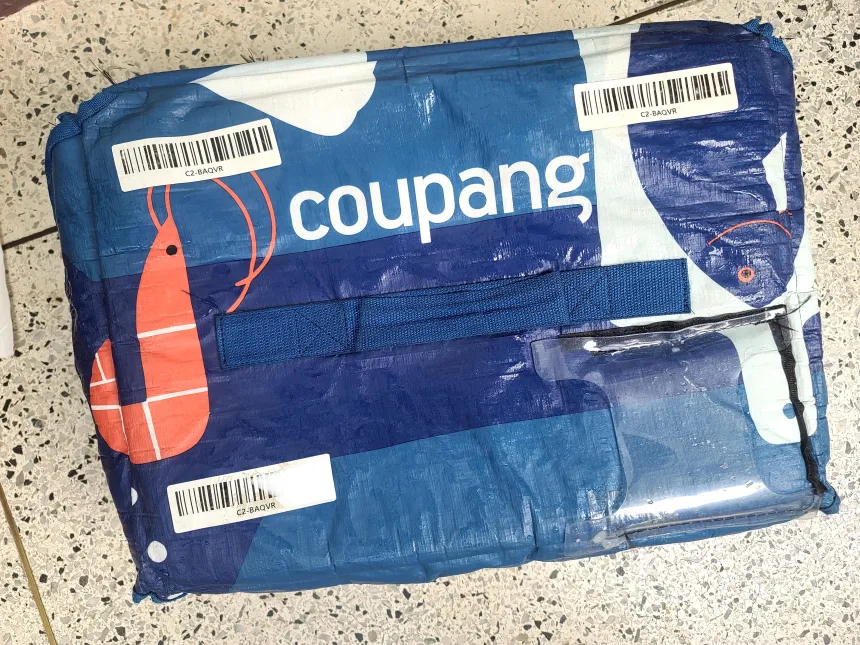 쿠팡 로켓프레시 보냉가방