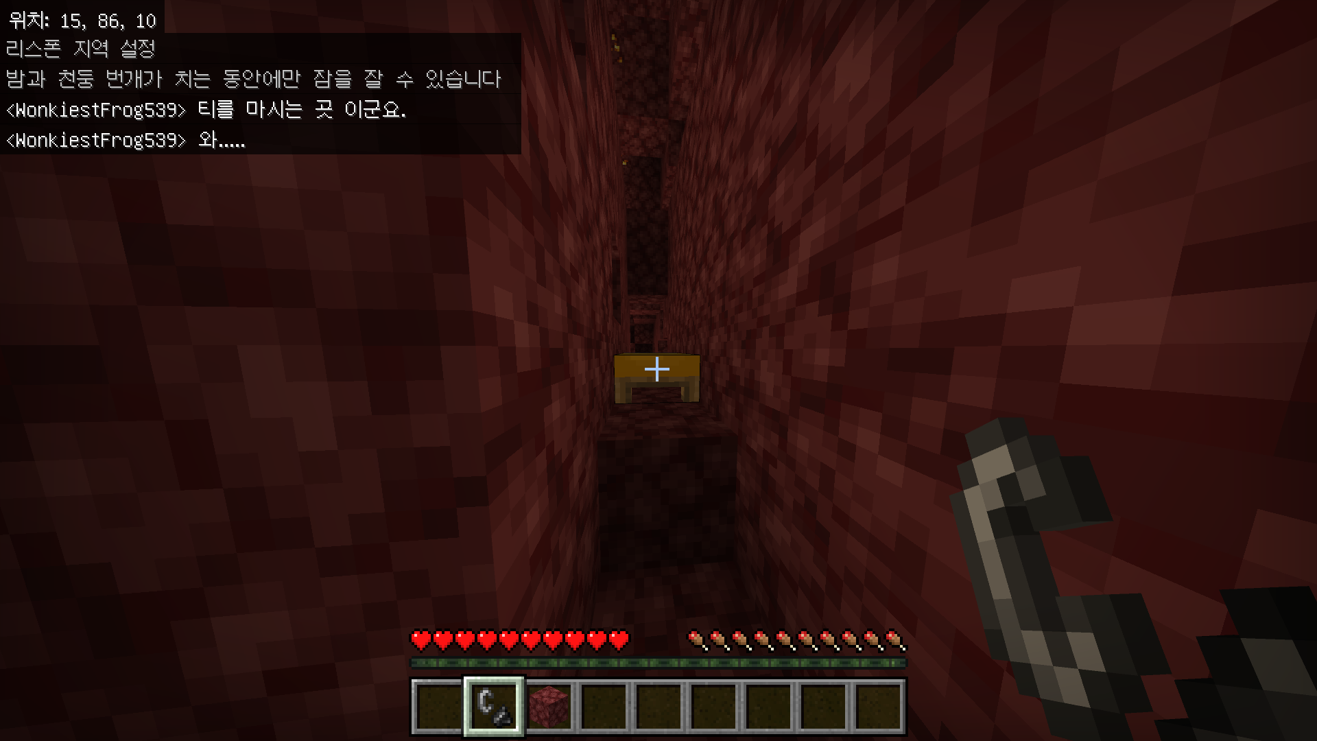 마인크래프트 광물 좌표 및 분포 - 다이아몬드와 네더라이트