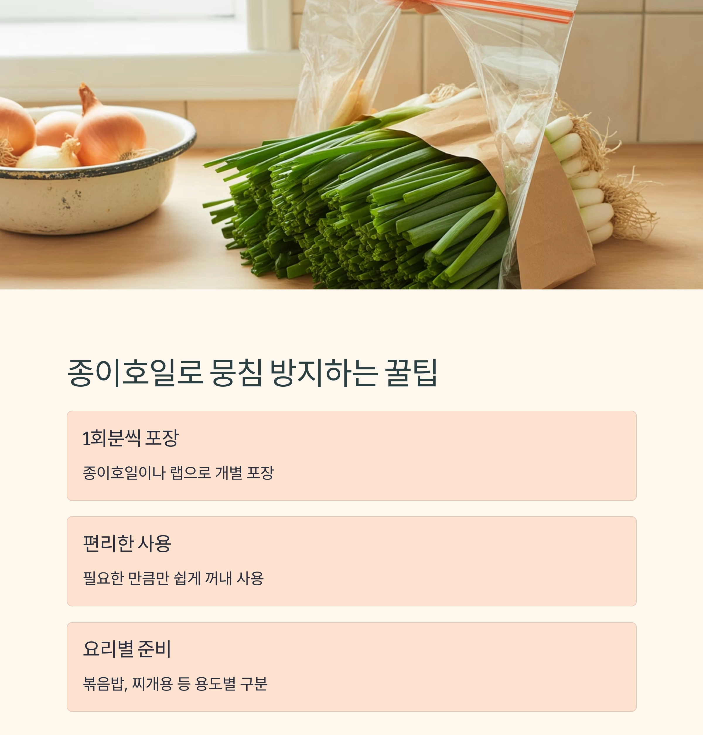 파를 오래 보관하는 법! 냉동 보관 꿀팁 대공개