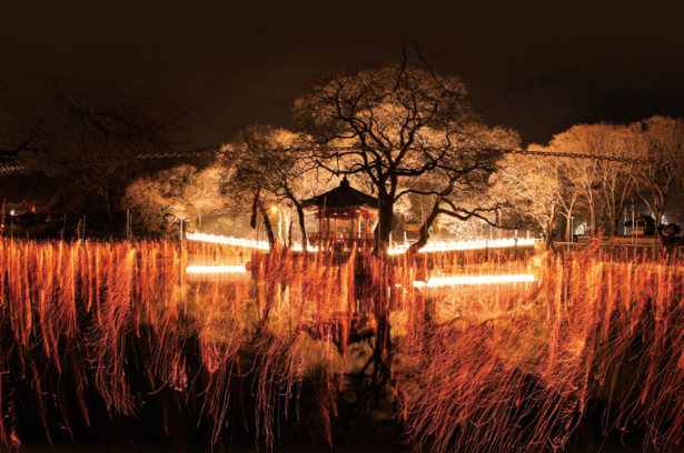 2025 함안낙화놀이 일정 및 입장권 예약