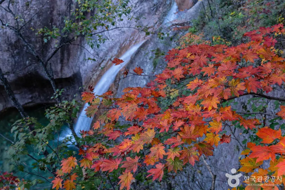 설악산 단풍