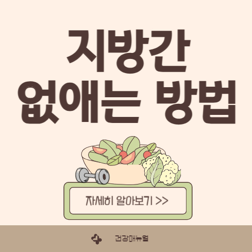 지방간 없애는 방법 알아보기 (feat. 지방간 원인 치료 예방 등)