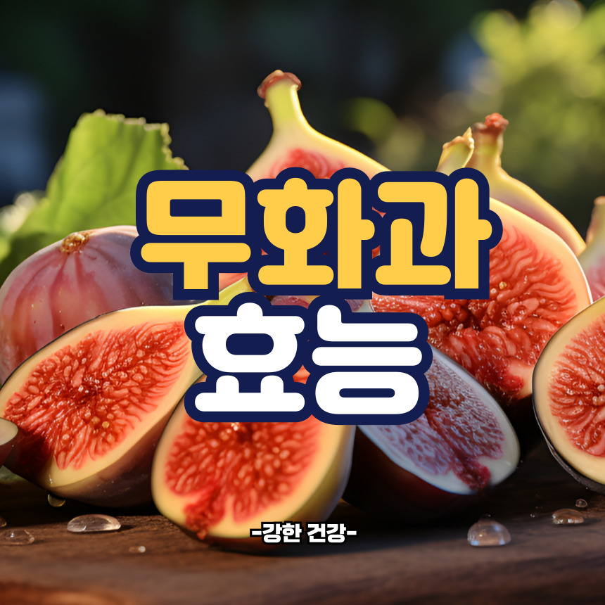 무화과 효능