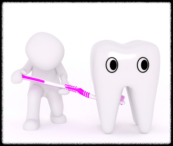 이빨 빠지는 순서