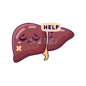 ALT수치가 높으면