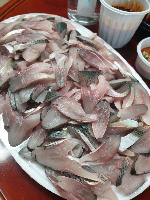 전남 장흥 이피디가 간다 된장 물회, 전어구이, 전어회무침, 전어회 제철 고소한 전어 밥상 맛집 추천