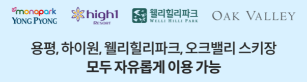 스키장 시즌권 X4+
