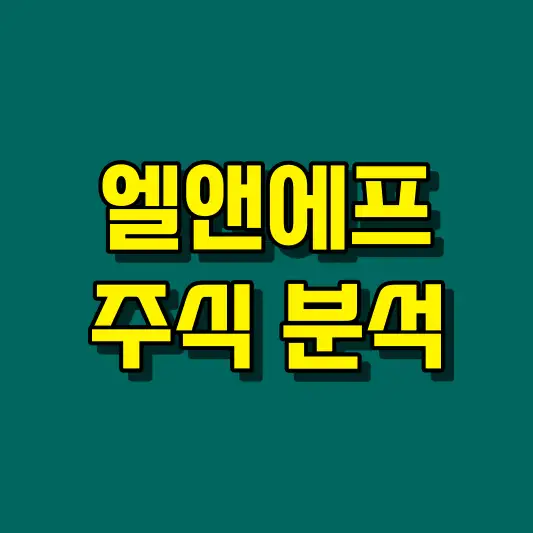 엘앤에프 주식 분석