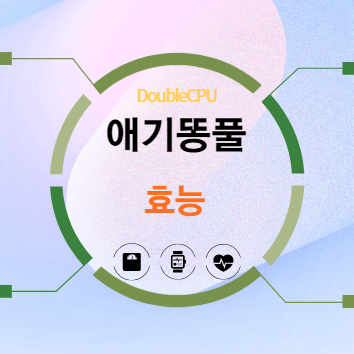 애기똥풀 효능 탐구