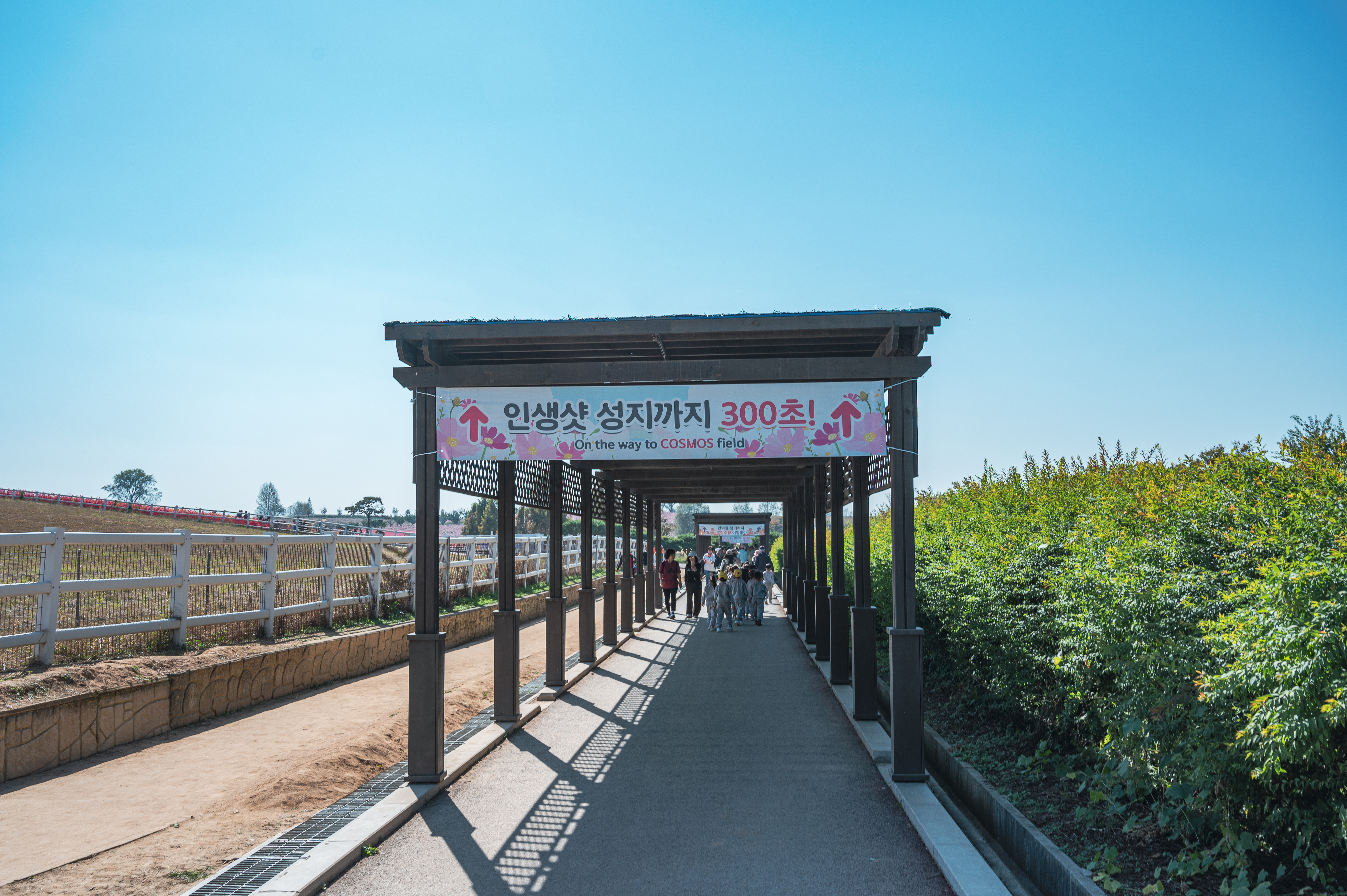 안성팜랜드
