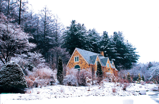 아침고요수목원3