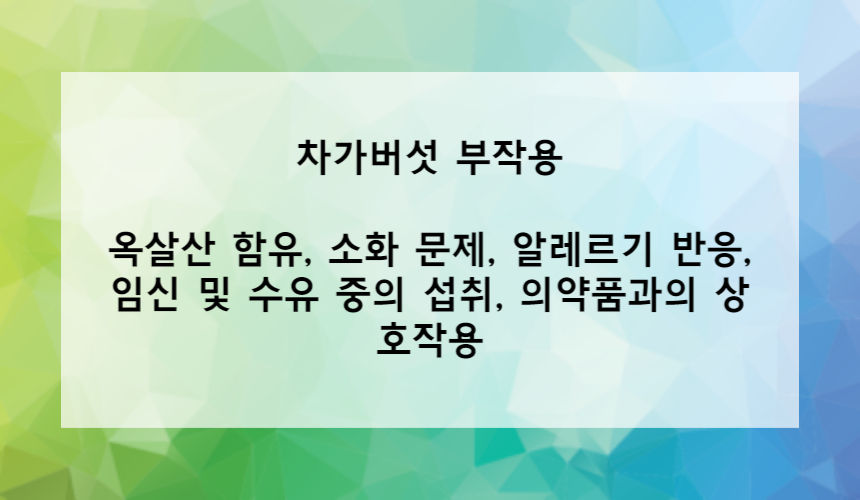 차가버섯 부작용