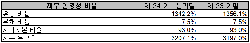 나노신소재 - 재무 안정성 비율