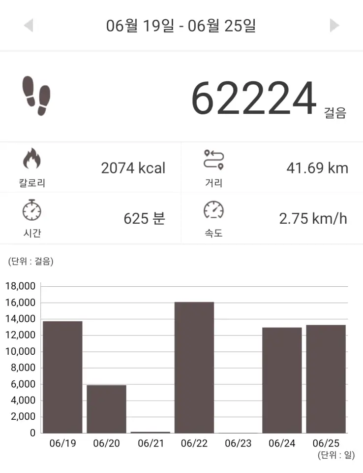 6월19일~6월25일걸음수