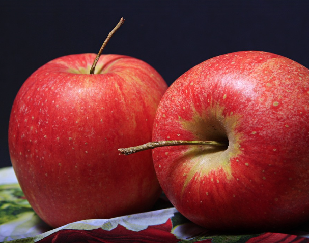 11~12월 제철 과일 사과