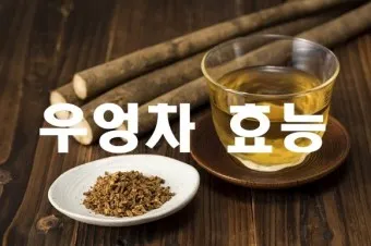 우엉차 효능 부작용_8