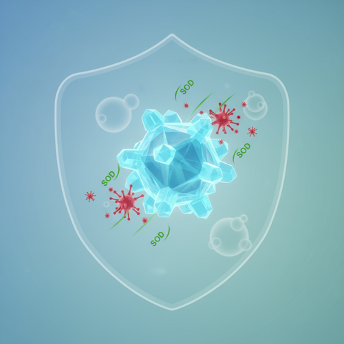 산화 스트레스 감소와 면역력 강화, 피코시아닌의 비밀