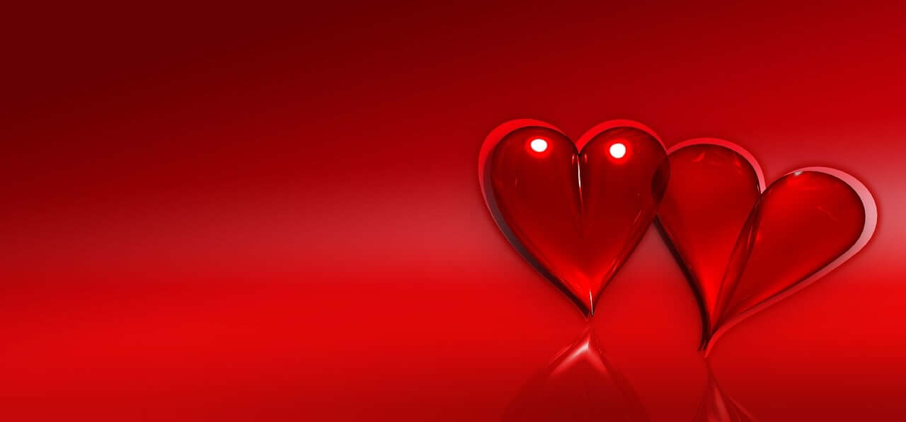 전북대학교 입학