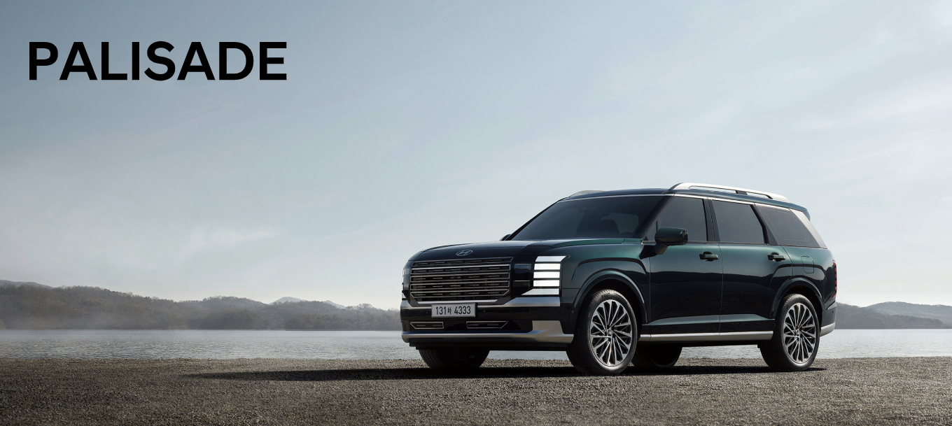 디 올 뉴 팰리세이드