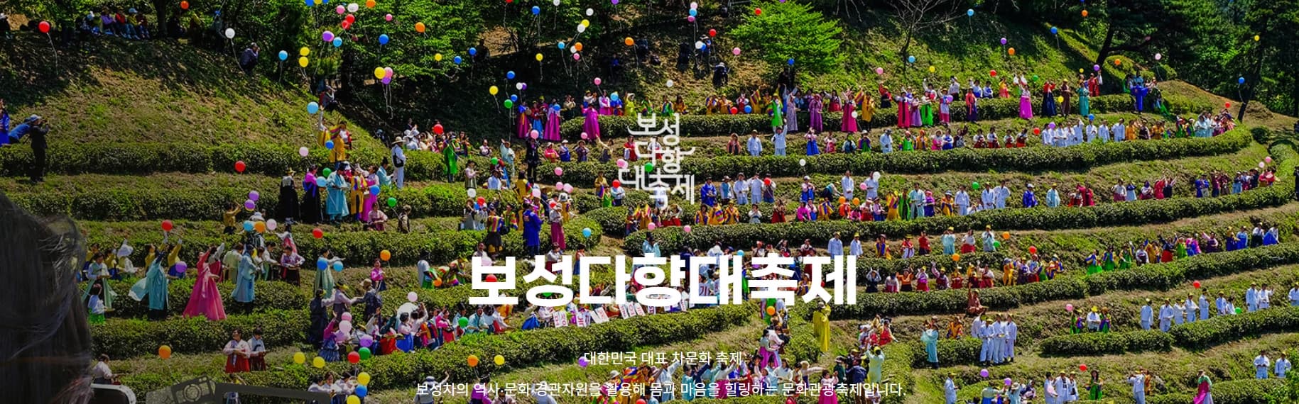 [5월 축제]2025 보성다향대축제❘기간, 일정, 프로그램 예약 방법, 추천코스, 셔틀 정보