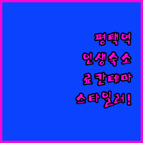 평택역 도보권 호텔 추천 료칸 테마부..