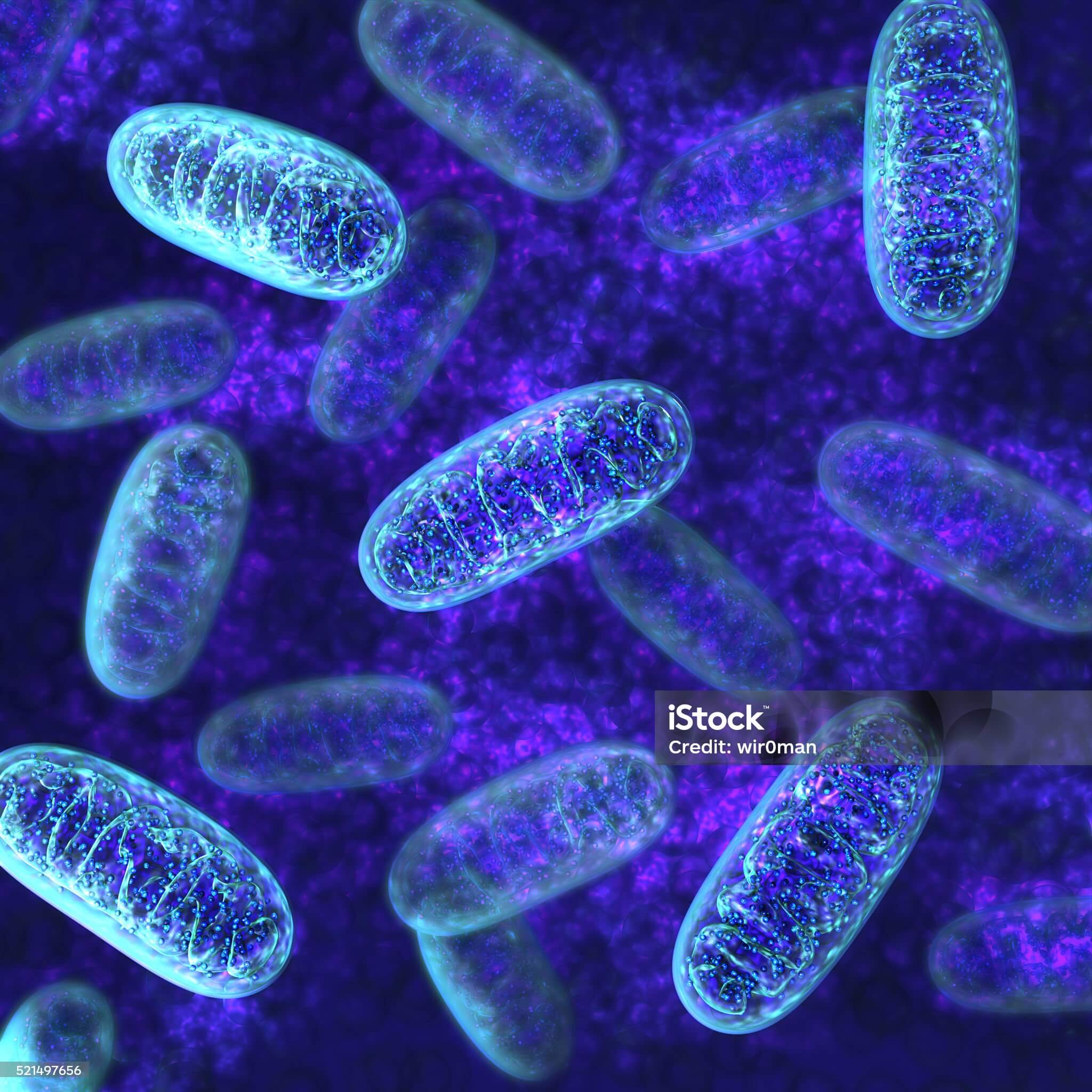 미토콘드리아 기능 장애와 치매