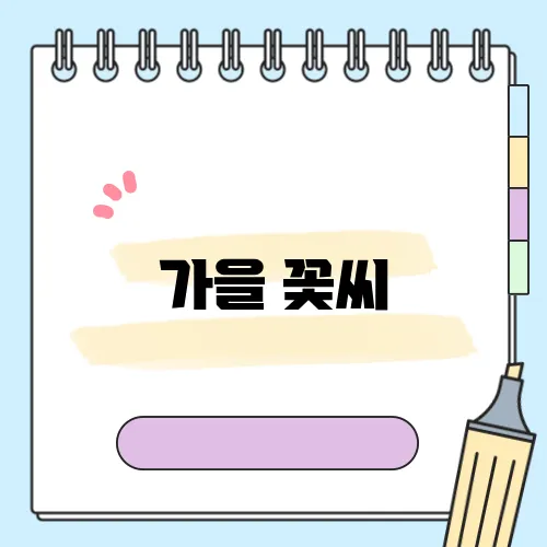 가을 꽃씨