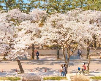 경주 흥무로