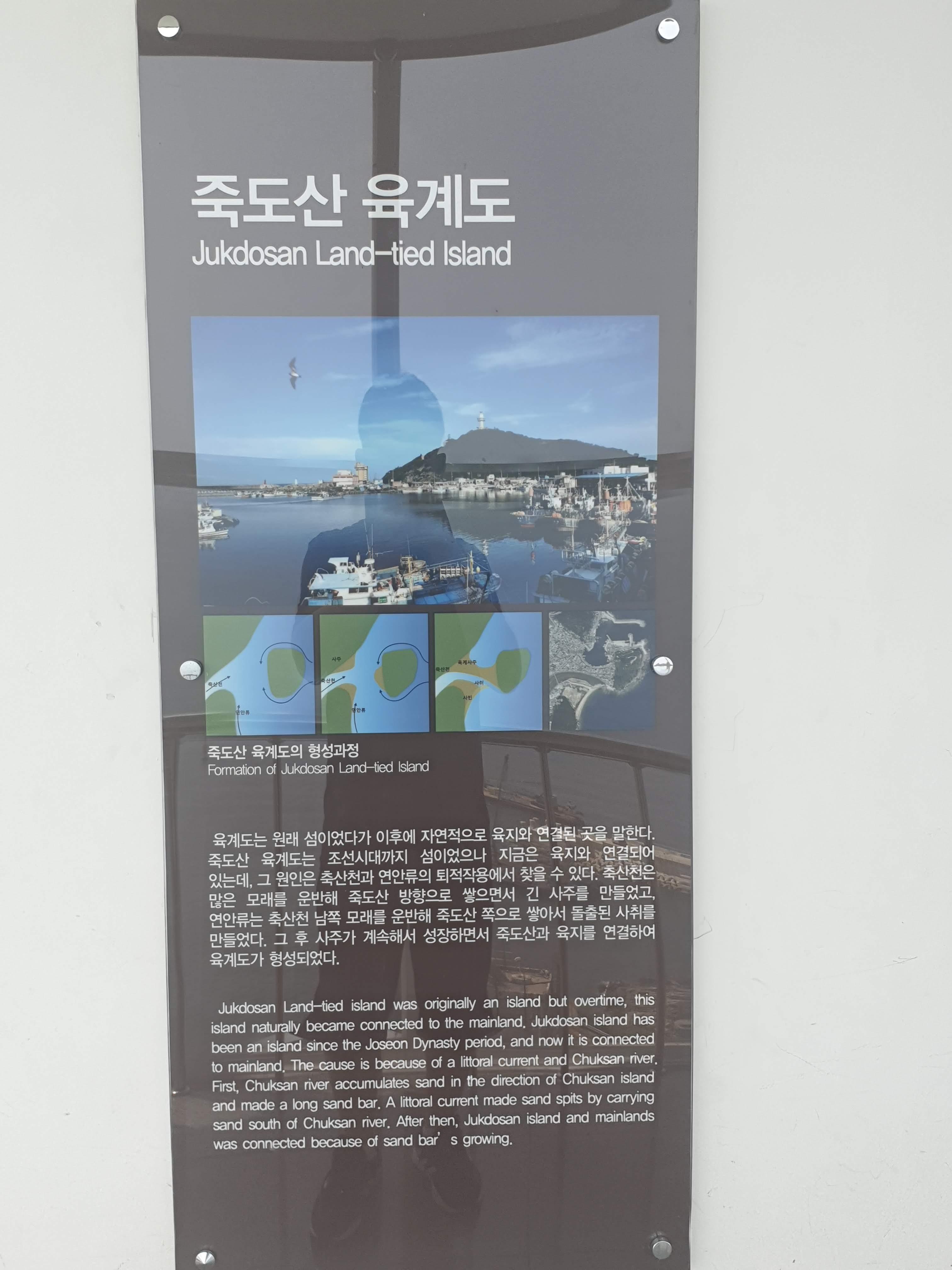 죽도산 전망대에 있는 육계도 형성의 설명문