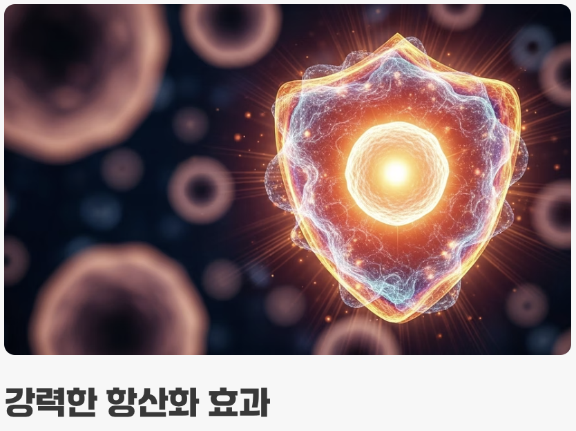 붉은 보석 속 '안토시아닌'의 마법