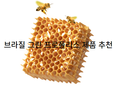 이미지를 클릭하시면 쿠팡에서 판매 중인 브라질 그린 프로폴리스 제품 상세페이지로 이동 됩니다.
