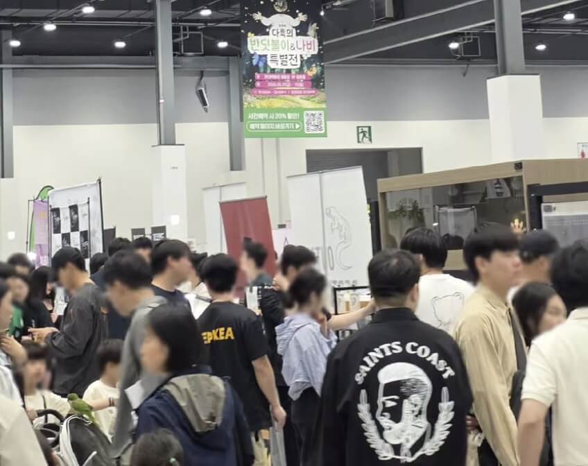 KIF 곤충&파충류 포럼
