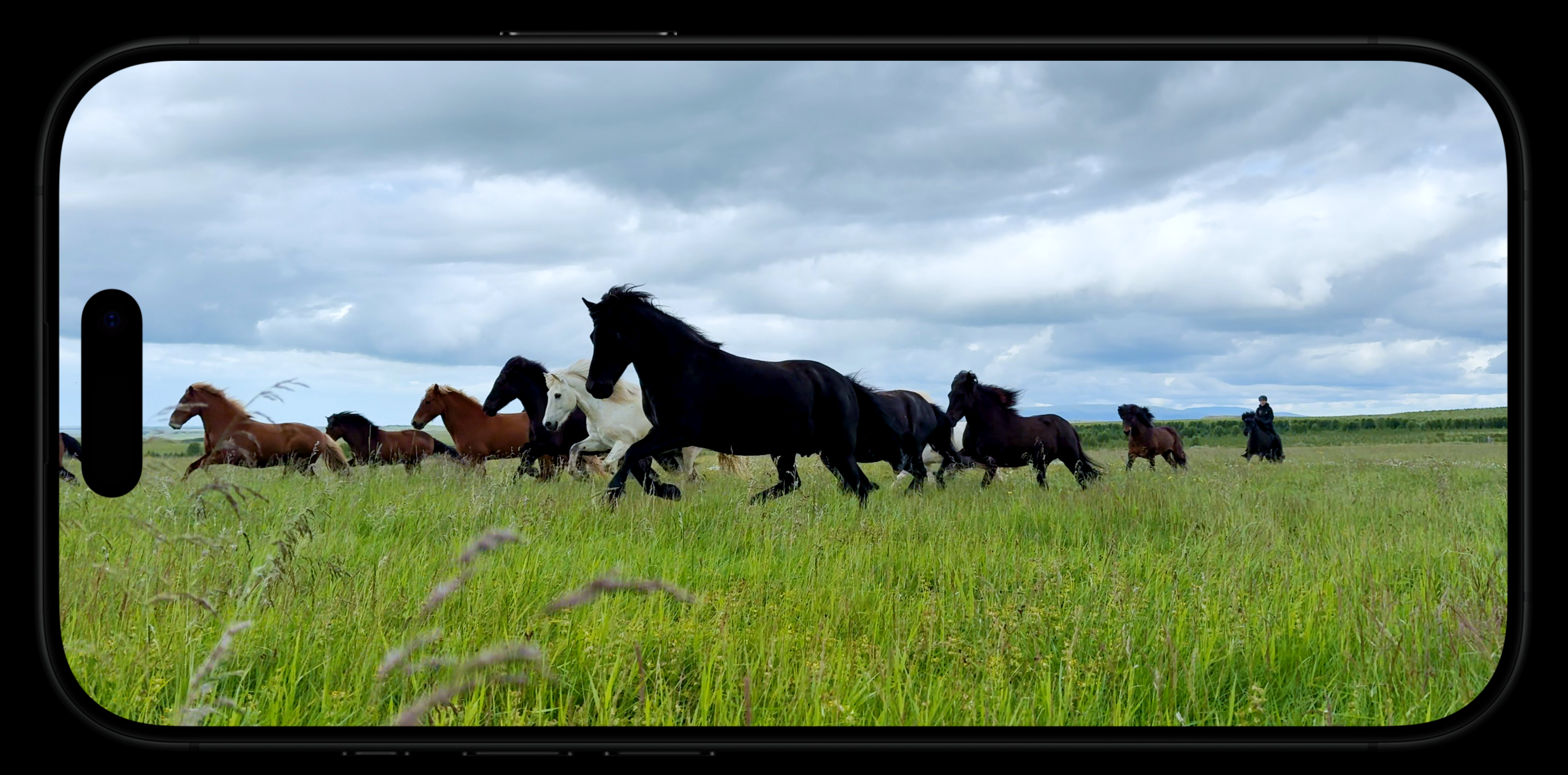 초당 120 프레임의 4K Dolby Vision으로 촬영한 아이슬란드의 야생마 무리