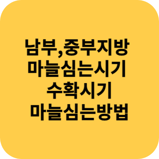 남부, 중부 지방 마늘 심는 시기 수확 시기 심는 방법