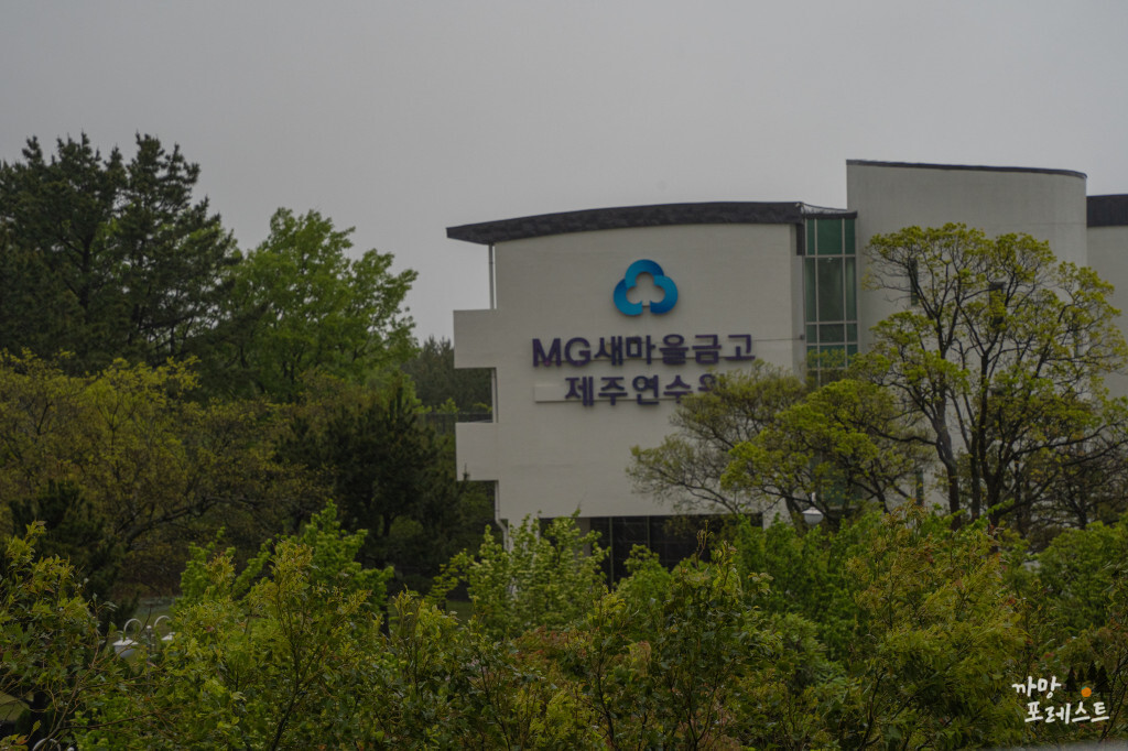 새마을 금고 제주 연수원