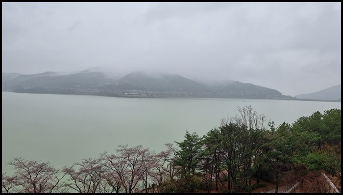 경주-라한-벚꽃-숙소-경치