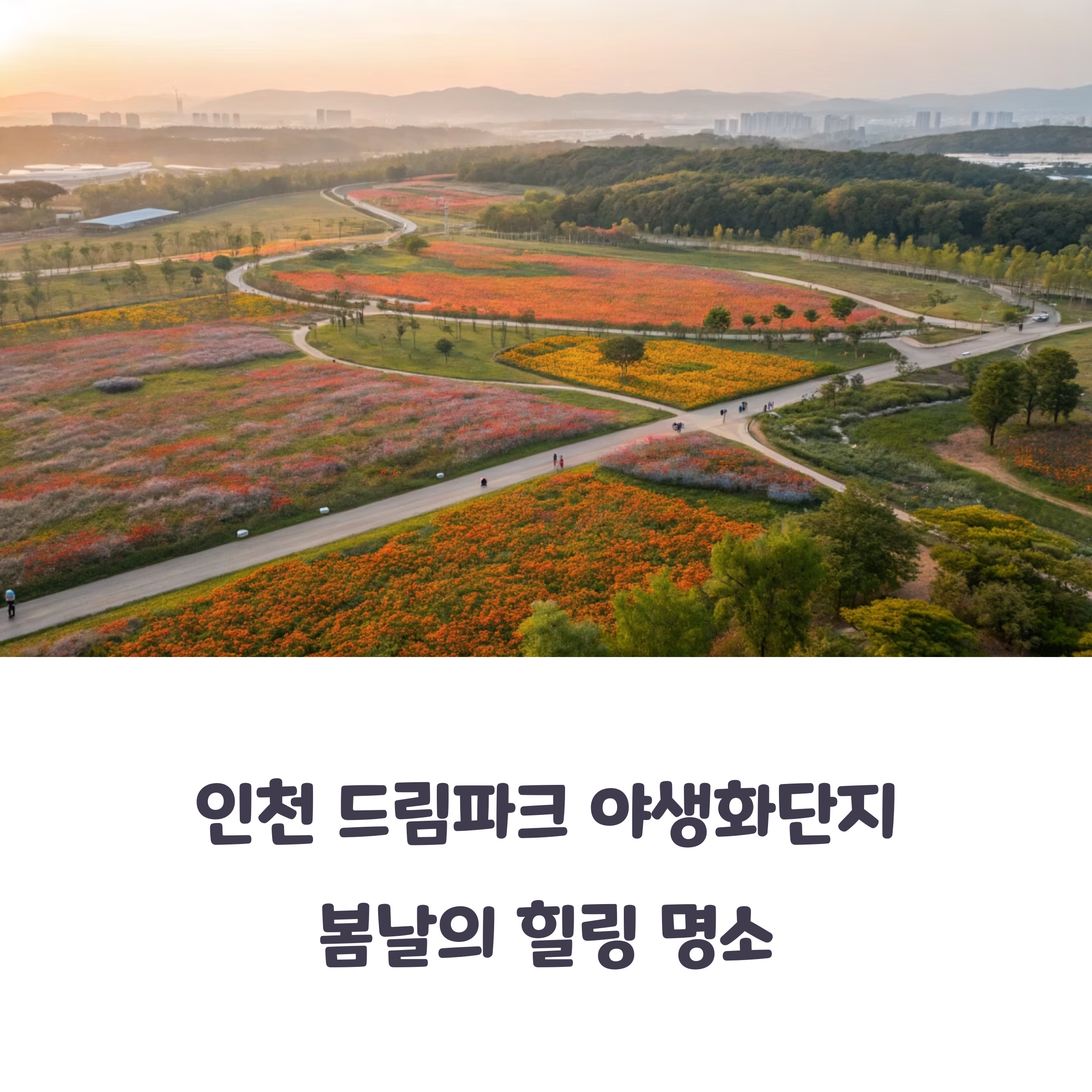 인천 드림파크 야생화단지, 봄 나들이