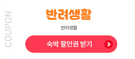반려생활