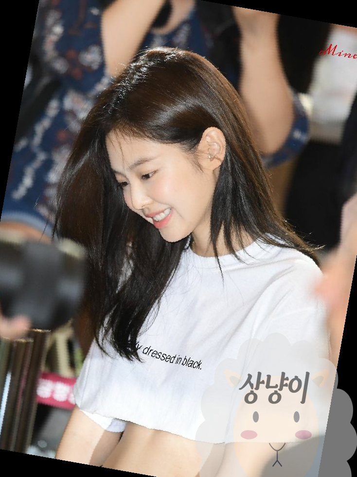 블랙핑크 제니 엄마 집안