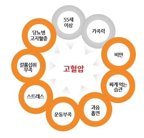 고혈압 이유