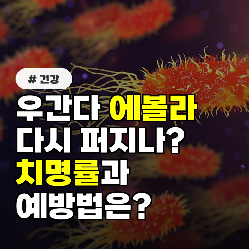 우간다 에볼라 재확산 지금 꼭 알아야 할 치명률과 예방법