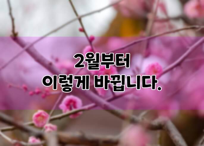 2월-변경-정책