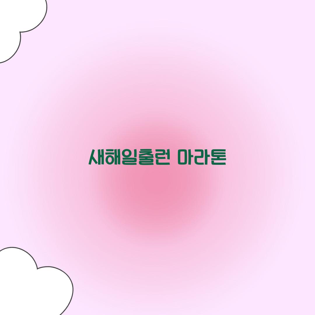 새해일출런 마라톤