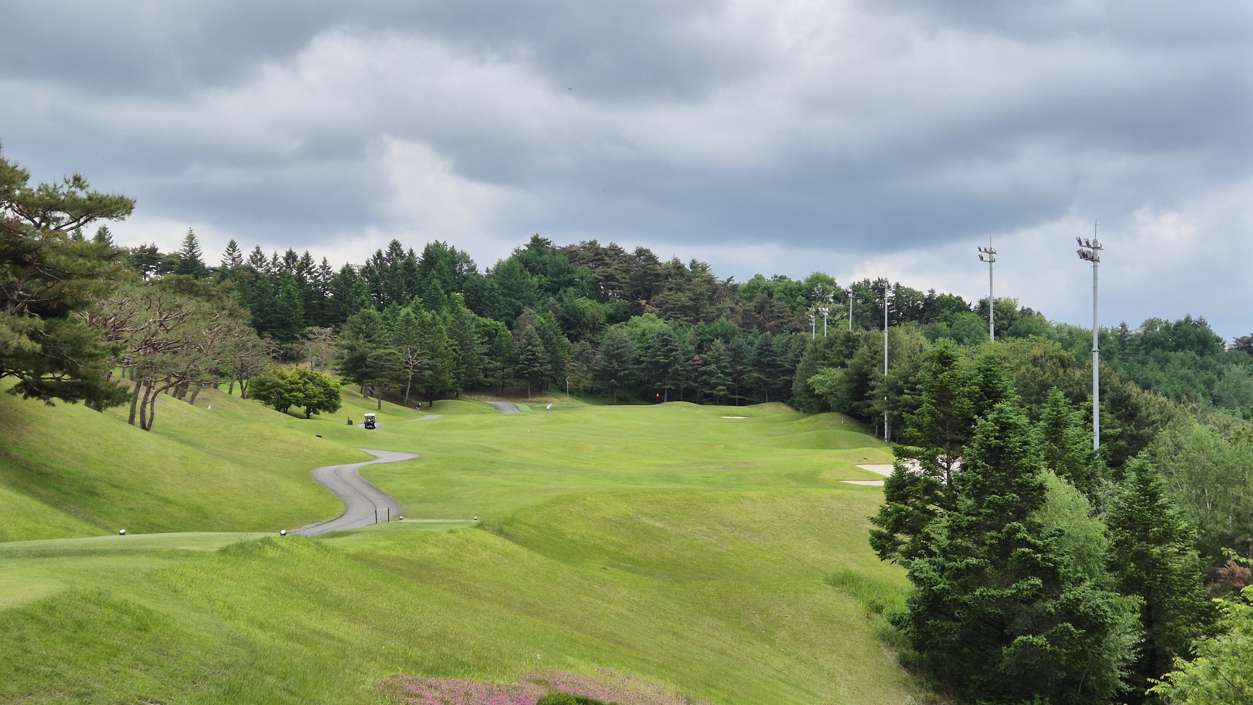 파크밸리gc 코스 사진