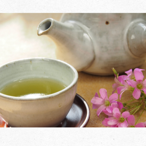 주 3회 이상 가벼운 유산소 운동 권장