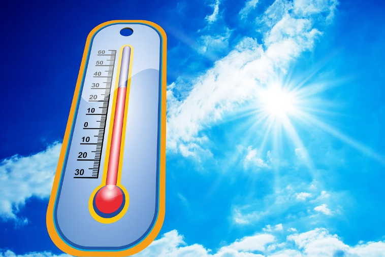 더위 먹었을때 증상