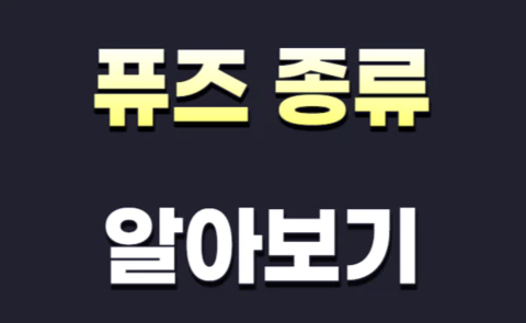 자동차 퓨즈 종류